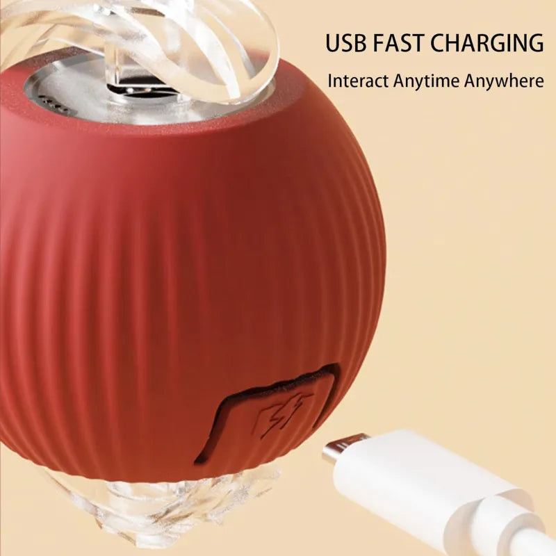 ⭐ Bola 360º Inteligente – Zero Tédio! 🐕🐈