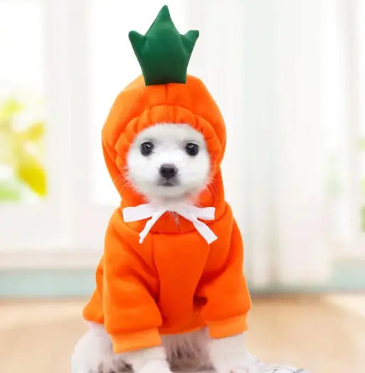 Chic Fleece Dog Hoodie