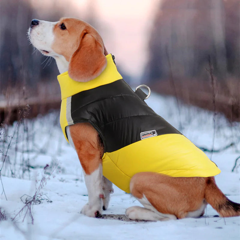 All-Weather Reflective Dog Apparel
