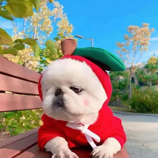 Chic Fleece Dog Hoodie