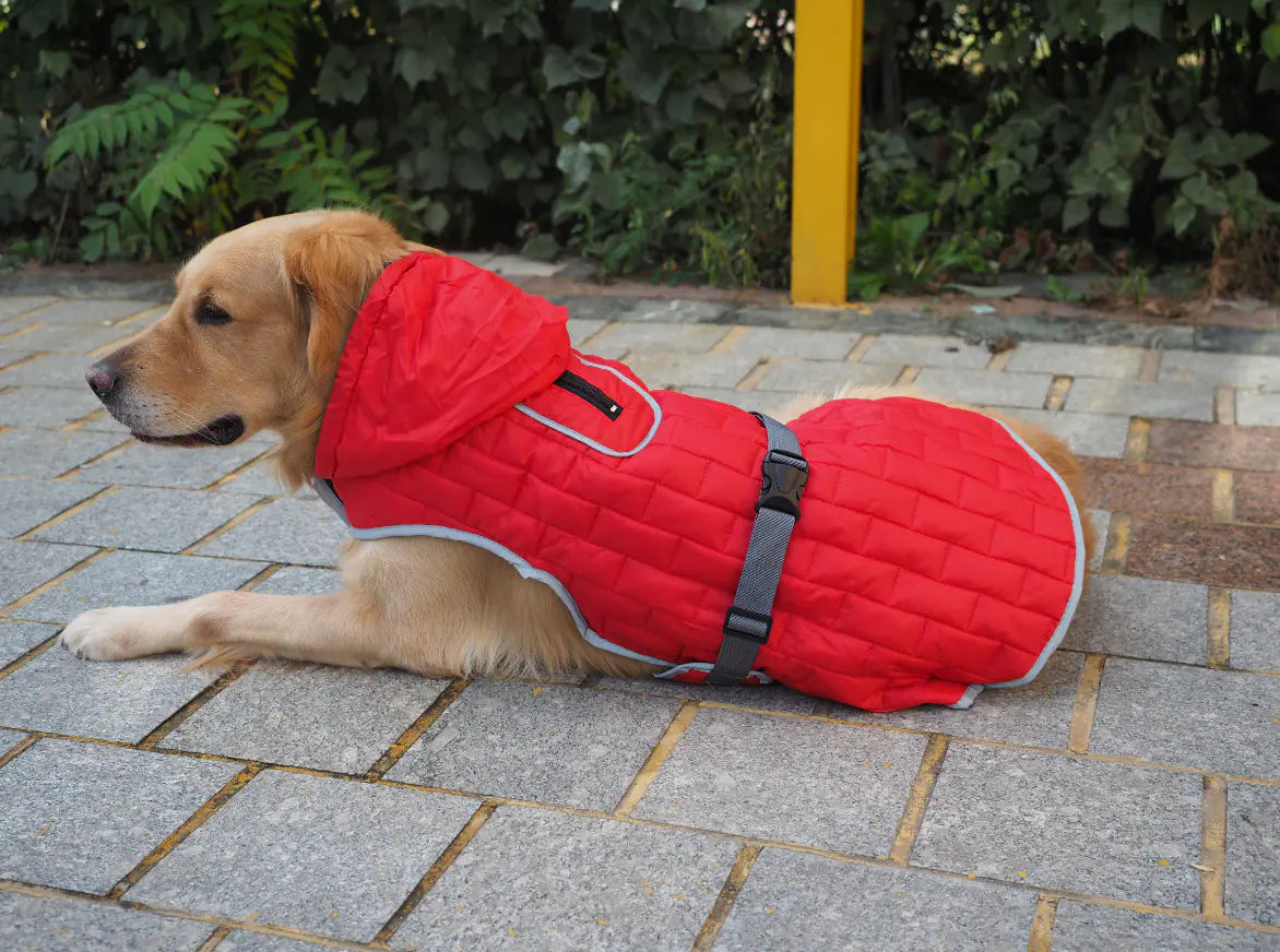 Waterproof Reversible Plaid Dog Jacket – Stylish Winter Comfort for Dogs