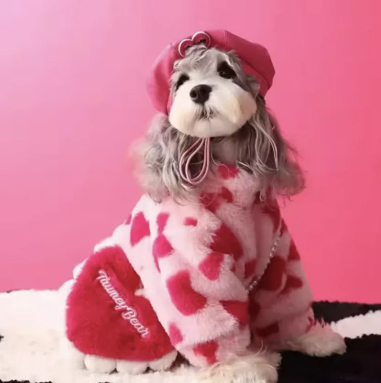 Cozy Canine Fall-Winter Apparel