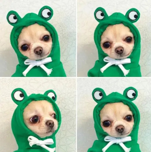 Chic Fleece Dog Hoodie