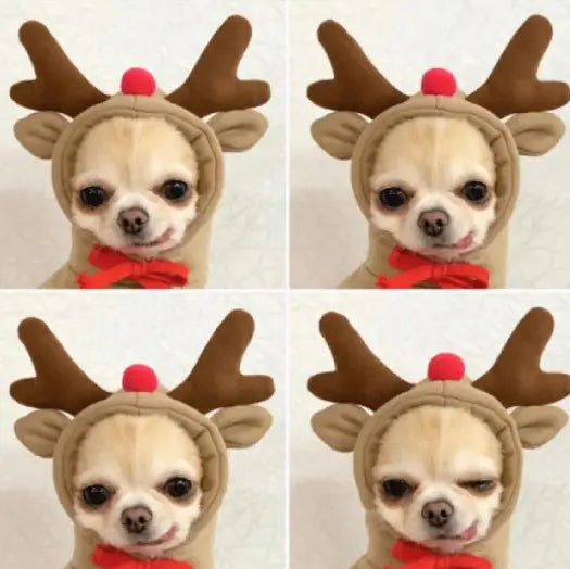 Chic Fleece Dog Hoodie