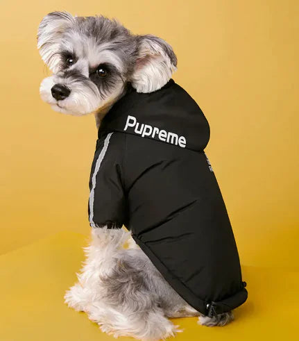 Winter Dog Jacket – Warm Waterproof Coat with Velvet Lining