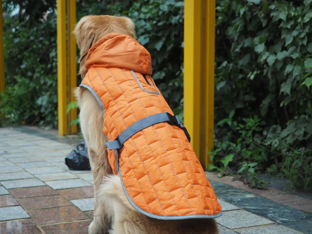 Waterproof Reversible Plaid Dog Jacket – Stylish Winter Comfort for Dogs