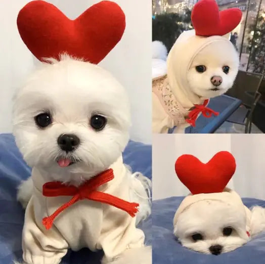 Chic Fleece Dog Hoodie