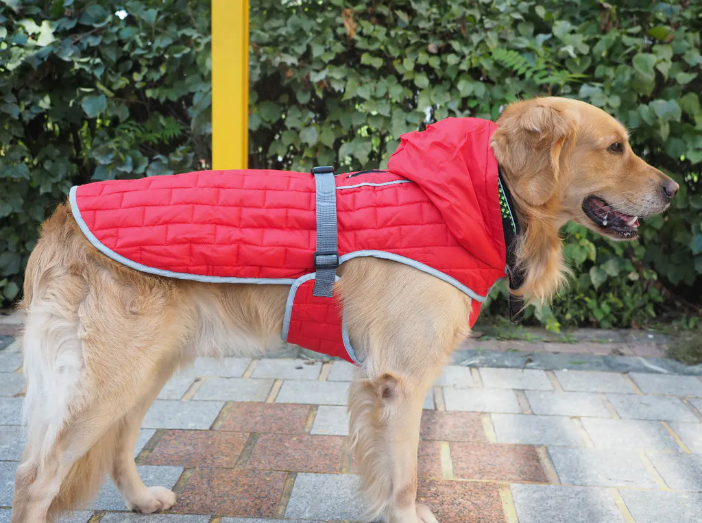 Waterproof Reversible Plaid Dog Jacket – Stylish Winter Comfort for Dogs